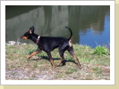 Jasper 2 1/2 Jahre