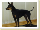 Cosmo 3 1/2 Jahre