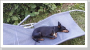 ... und wieder ein Nickerchen ... und wieder ein Nickerchen