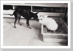 ... und seinem Freund - Lucky ... und seinem Freund - Lucky