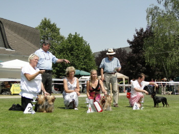 Cosmo & Katy 3. Platz "Paarklasse"