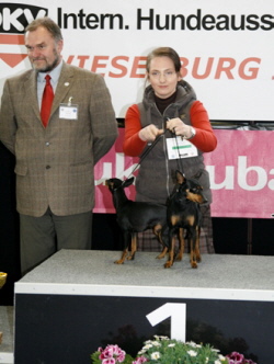 1. Platz Paarklasse / IHA Wieselburg 2012