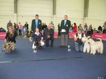 1. Platz  Paarklasse /  "Jasper & Katy"