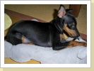 Cosmo 10 Wochen