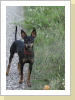 Jasper 1 Jahr