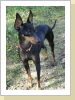 Katy 2 Jahre