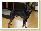 Cosmo 3 1/2 Jahre