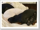 ganz eng kuscheln :-)) ganz eng kuscheln :-))