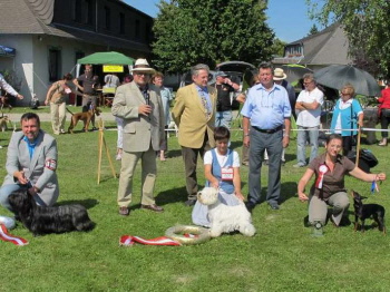 3. Platz "Bester Niederläufer" / NHA Groß Enzersdorf 2010